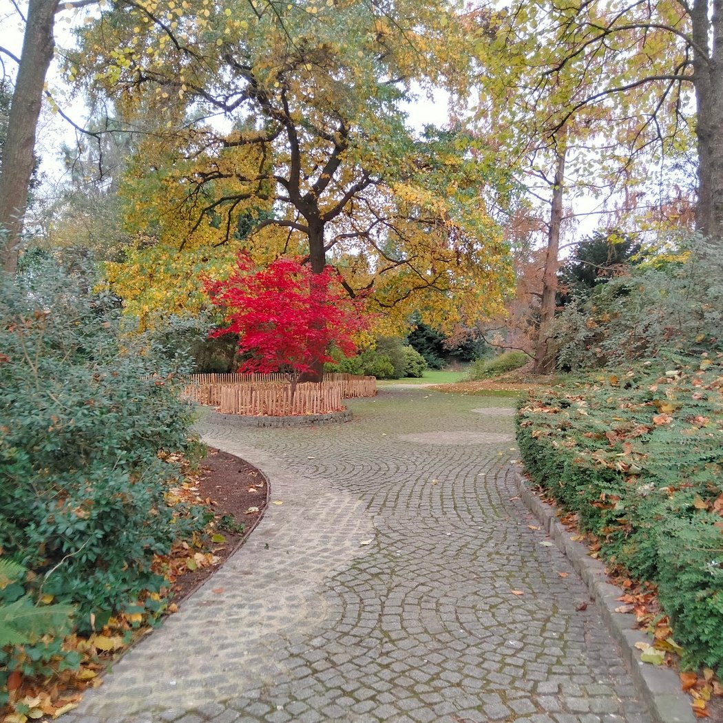 remarquable fleurs et arbres Garden 3